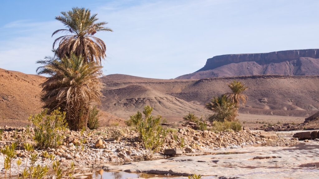 2 days tour from Marrakech to Zagora