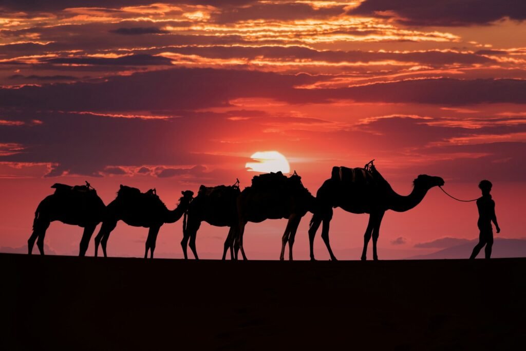5 days Marrakech Desert Tour