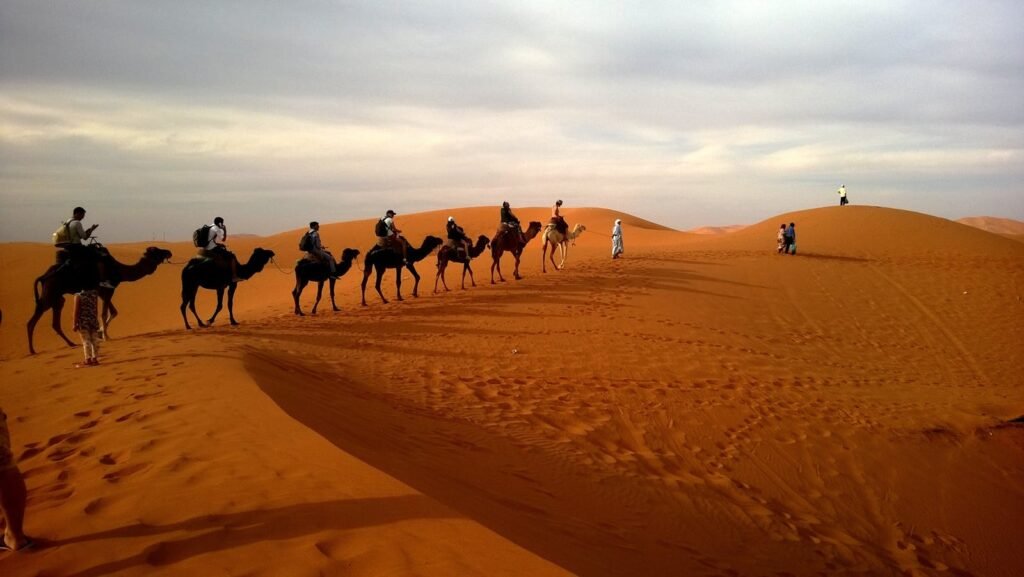 Morocco desert tours camel trekking in Merzouga Sahara dunes at sunset”
