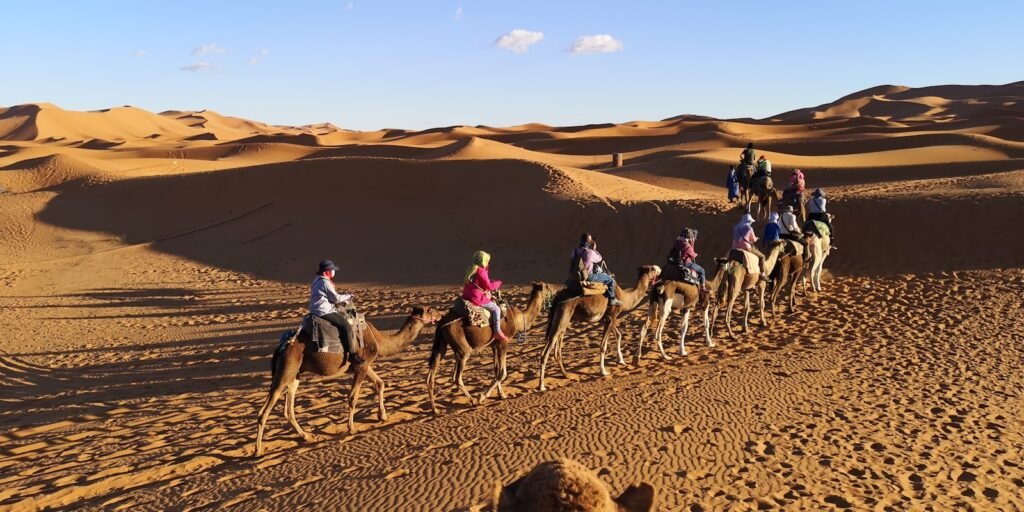 Sahara Desert camel trek during the best season to visit Morocco