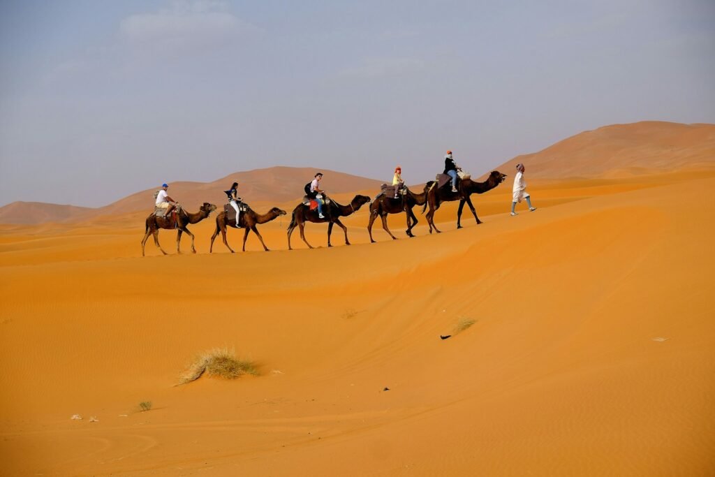 Tourists enjoying camel trekking in the Sahara Desert at sunset, Merzouga Morocco