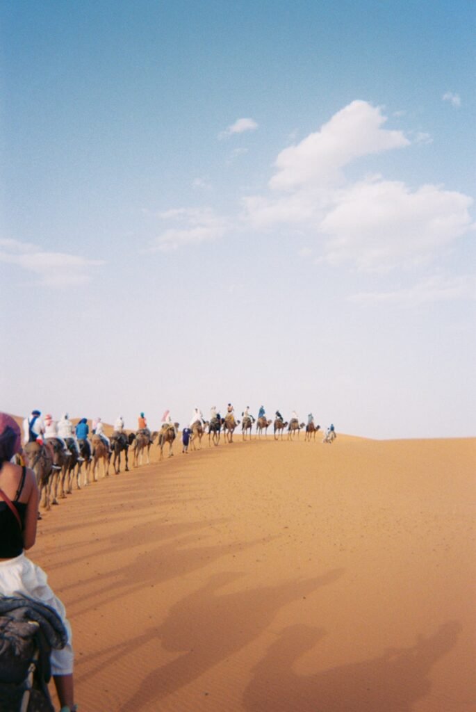 students visiting sahara desert morocco camel trekking