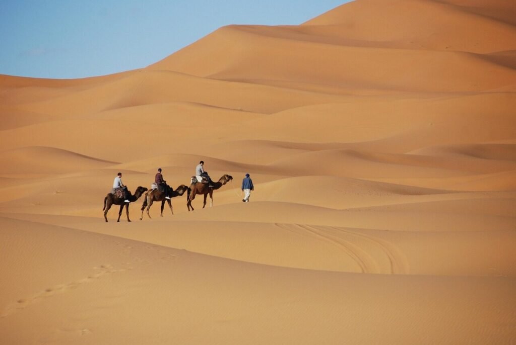 Camel trekking Sahara desert Morocco sunset dunes travel adventure