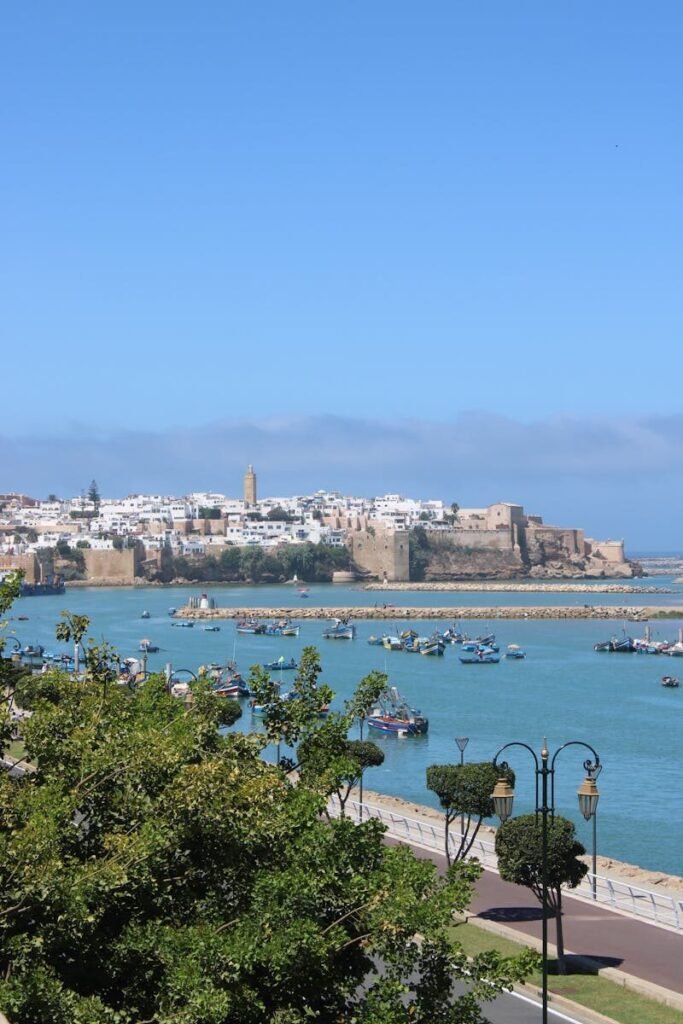 Aerial view of Tanger Med port with ferries and coastline